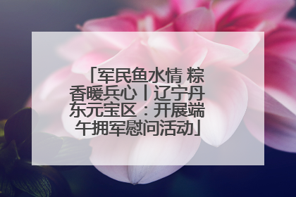 军民鱼水情 粽香暖兵心丨辽宁丹东元宝区：开展端午拥军慰问活动