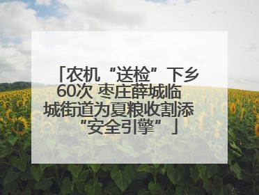 农机“送检”下乡60次 枣庄薛城临城街道为夏粮收割添“安全引擎”