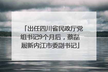 出任四川省民政厅党组书记9个月后，蔡磊履新内江市委副书记