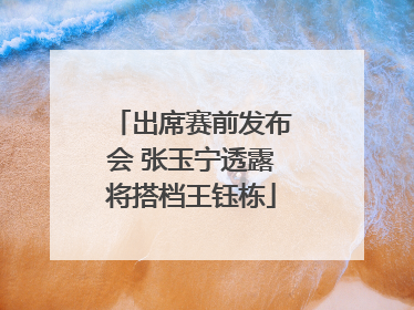 出席赛前发布会 张玉宁透露将搭档王钰栋