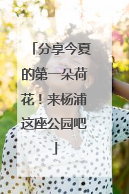 分享今夏的第一朵荷花！来杨浦这座公园吧