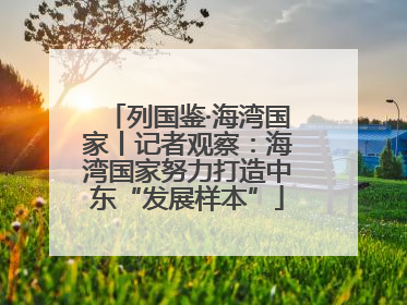 列国鉴·海湾国家丨记者观察：海湾国家努力打造中东“发展样本”