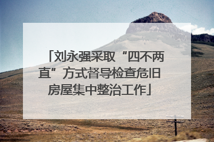 刘永强采取“四不两直”方式督导检查危旧房屋集中整治工作
