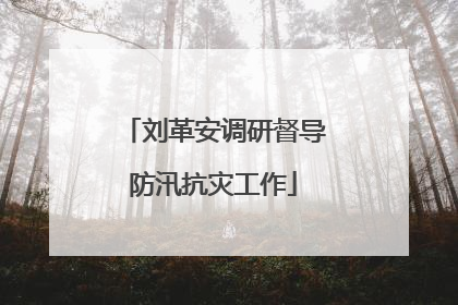 刘革安调研督导防汛抗灾工作