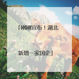 刚刚宣布！湖北新增一家国企