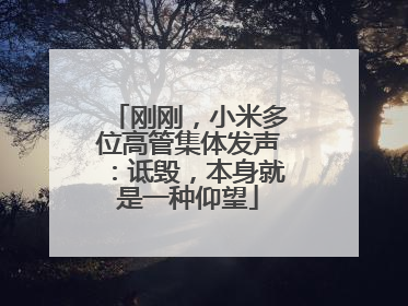 刚刚，小米多位高管集体发声：诋毁，本身就是一种仰望