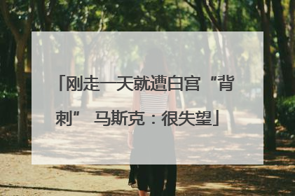 刚走一天就遭白宫“背刺” 马斯克：很失望