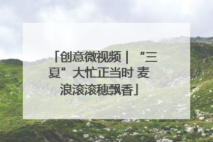 创意微视频｜“三夏”大忙正当时 麦浪滚滚穗飘香