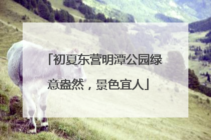 初夏东营明潭公园绿意盎然，景色宜人