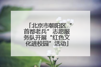 北京市朝阳区“首都老兵”志愿服务队开展“红色文化进校园”活动