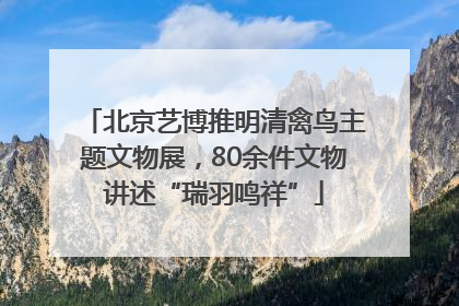 北京艺博推明清禽鸟主题文物展，80余件文物讲述“瑞羽鸣祥”