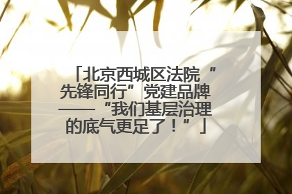 北京西城区法院“先锋同行”党建品牌——“我们基层治理的底气更足了！”