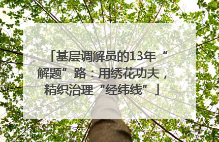基层调解员的13年“解题”路：用绣花功夫，精织治理“经纬线”