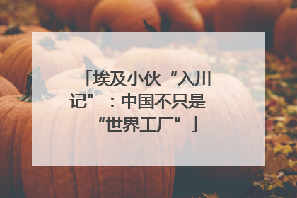 埃及小伙“入川记”：中国不只是“世界工厂”