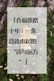 合福铁路十年：一条高铁串起的“诗与远方”