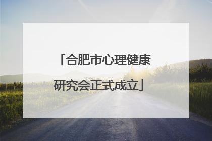 合肥市心理健康研究会正式成立
