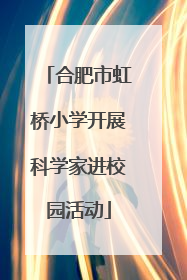 合肥市虹桥小学开展科学家进校园活动