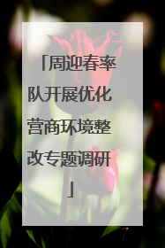 周迎春率队开展优化营商环境整改专题调研