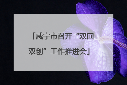 咸宁市召开“双回双创”工作推进会