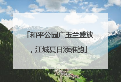 和平公园广玉兰盛放，江城夏日添雅韵