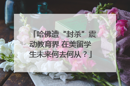 哈佛遭“封杀”震动教育界 在美留学生未来何去何从？