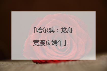 哈尔滨：龙舟竞渡庆端午