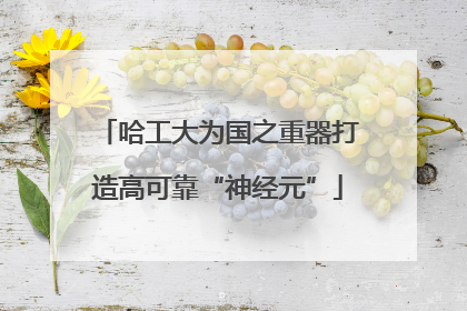 哈工大为国之重器打造高可靠“神经元”