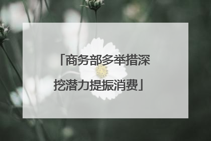 商务部多举措深挖潜力提振消费
