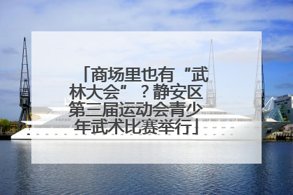 商场里也有“武林大会”？静安区第三届运动会青少年武术比赛举行