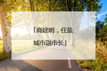 商建明，任盐城市副市长