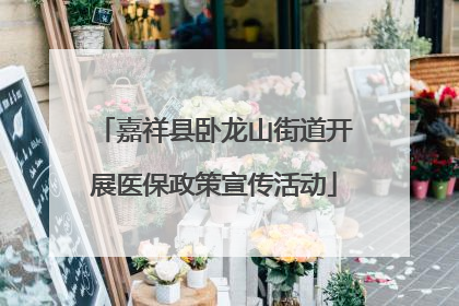 嘉祥县卧龙山街道开展医保政策宣传活动