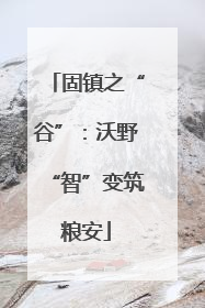 固镇之“谷”：沃野“智”变筑粮安