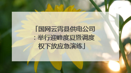国网云霄县供电公司：举行迎峰度夏暨调度权下放应急演练