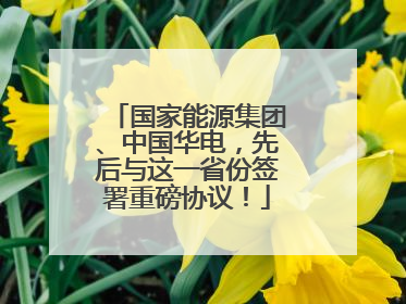 国家能源集团、中国华电，先后与这一省份签署重磅协议！