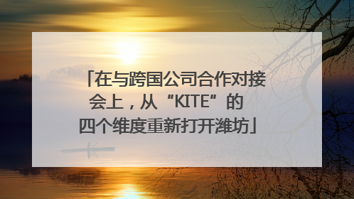在与跨国公司合作对接会上，从“KITE”的四个维度重新打开潍坊