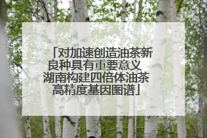 对加速创造油茶新良种具有重要意义 湖南构建四倍体油茶高精度基因图谱
