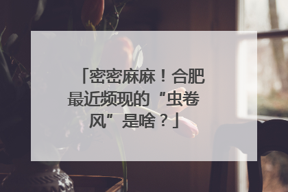 密密麻麻！合肥最近频现的“虫卷风”是啥？