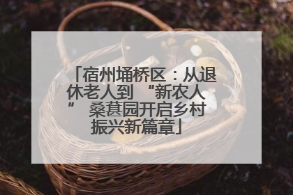 宿州埇桥区：从退休老人到 “新农人” 桑葚园开启乡村振兴新篇章