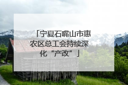 宁夏石嘴山市惠农区总工会持续深化“产改”