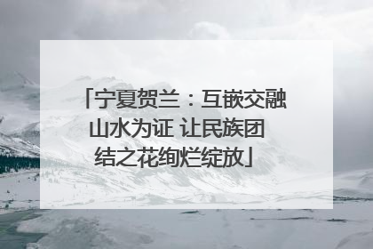 宁夏贺兰：互嵌交融 山水为证 让民族团结之花绚烂绽放