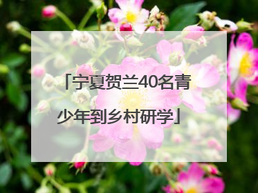 宁夏贺兰40名青少年到乡村研学