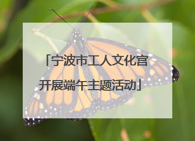宁波市工人文化宫开展端午主题活动