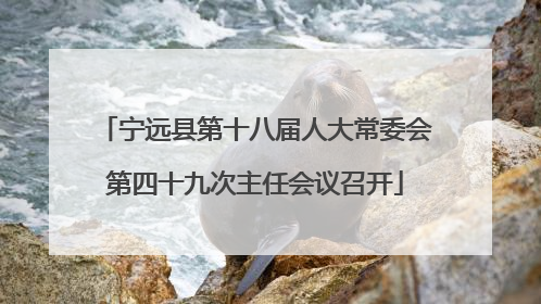 宁远县第十八届人大常委会第四十九次主任会议召开