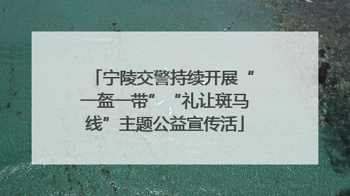 宁陵交警持续开展“一盔一带”“礼让斑马线”主题公益宣传活