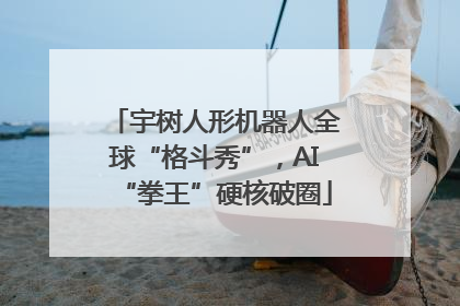 宇树人形机器人全球“格斗秀”，AI“拳王”硬核破圈