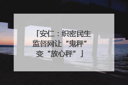 安仁：织密民生监督网让“鬼秤”变“放心秤”