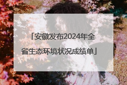 安徽发布2024年全省生态环境状况成绩单