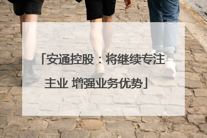安通控股：将继续专注主业 增强业务优势