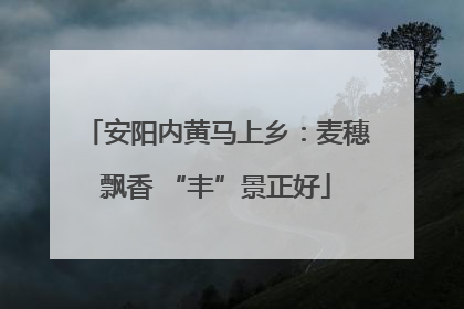 安阳内黄马上乡：麦穗飘香 “丰”景正好