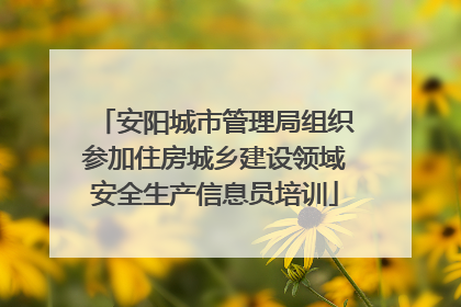 安阳城市管理局组织参加住房城乡建设领域安全生产信息员培训